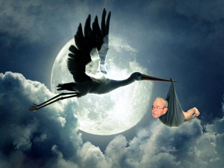 Stork brings Tom